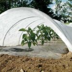 Crop Covers