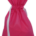 Non-woven Gift Bags
